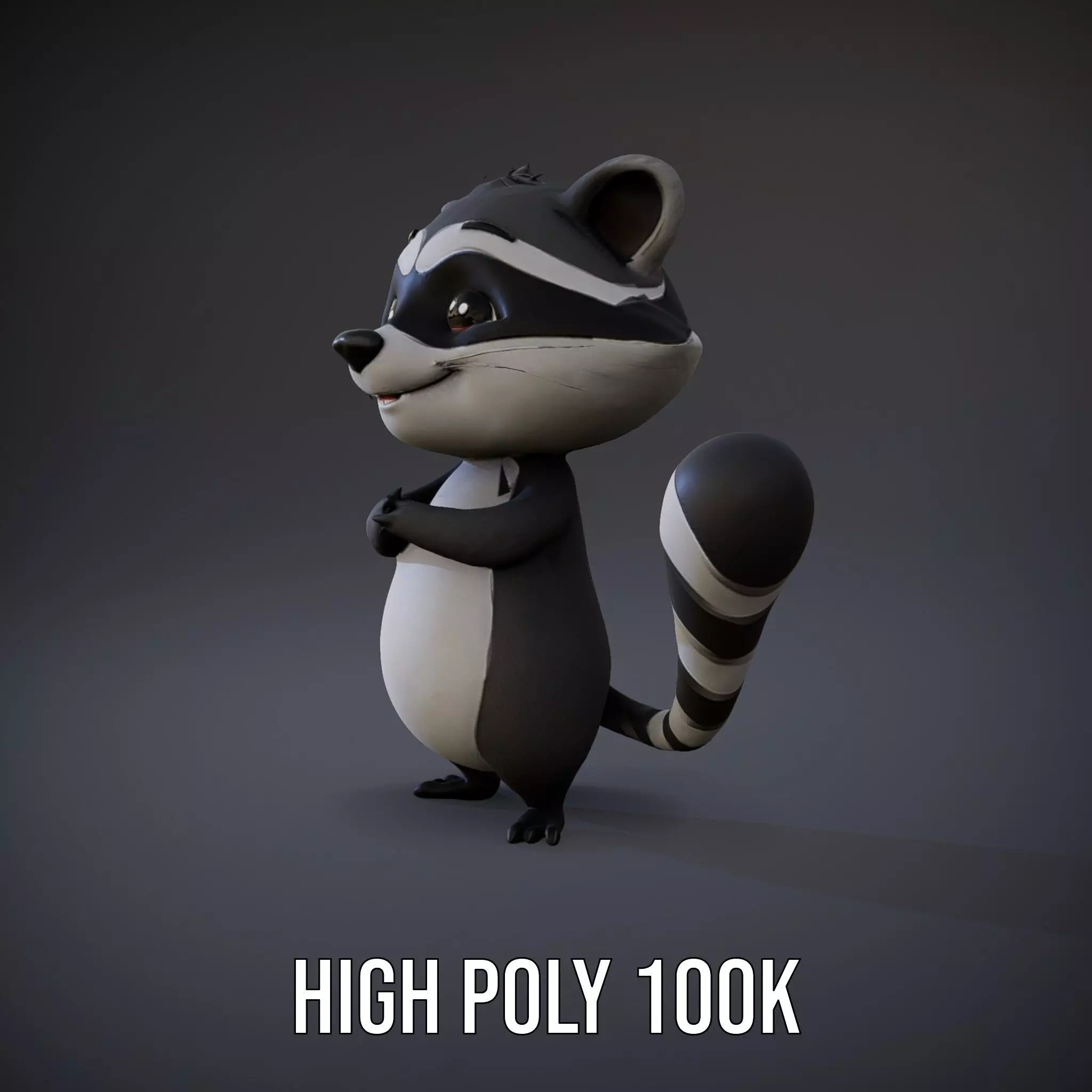 Charming Raccoon Character model pack Low-poly 3D model_10