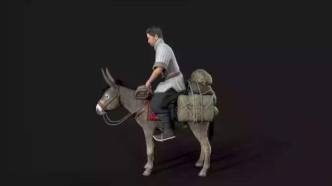 donkey and human