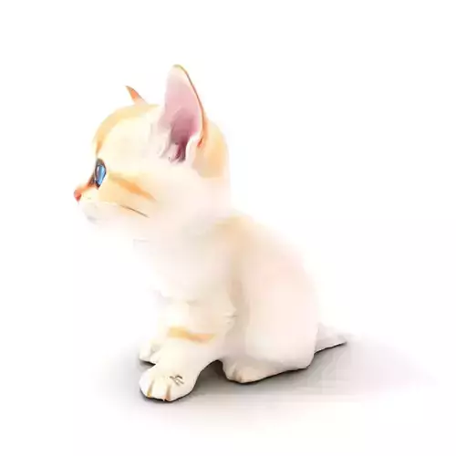 BlueEyed Kitten model pack