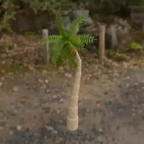 Palm Tree