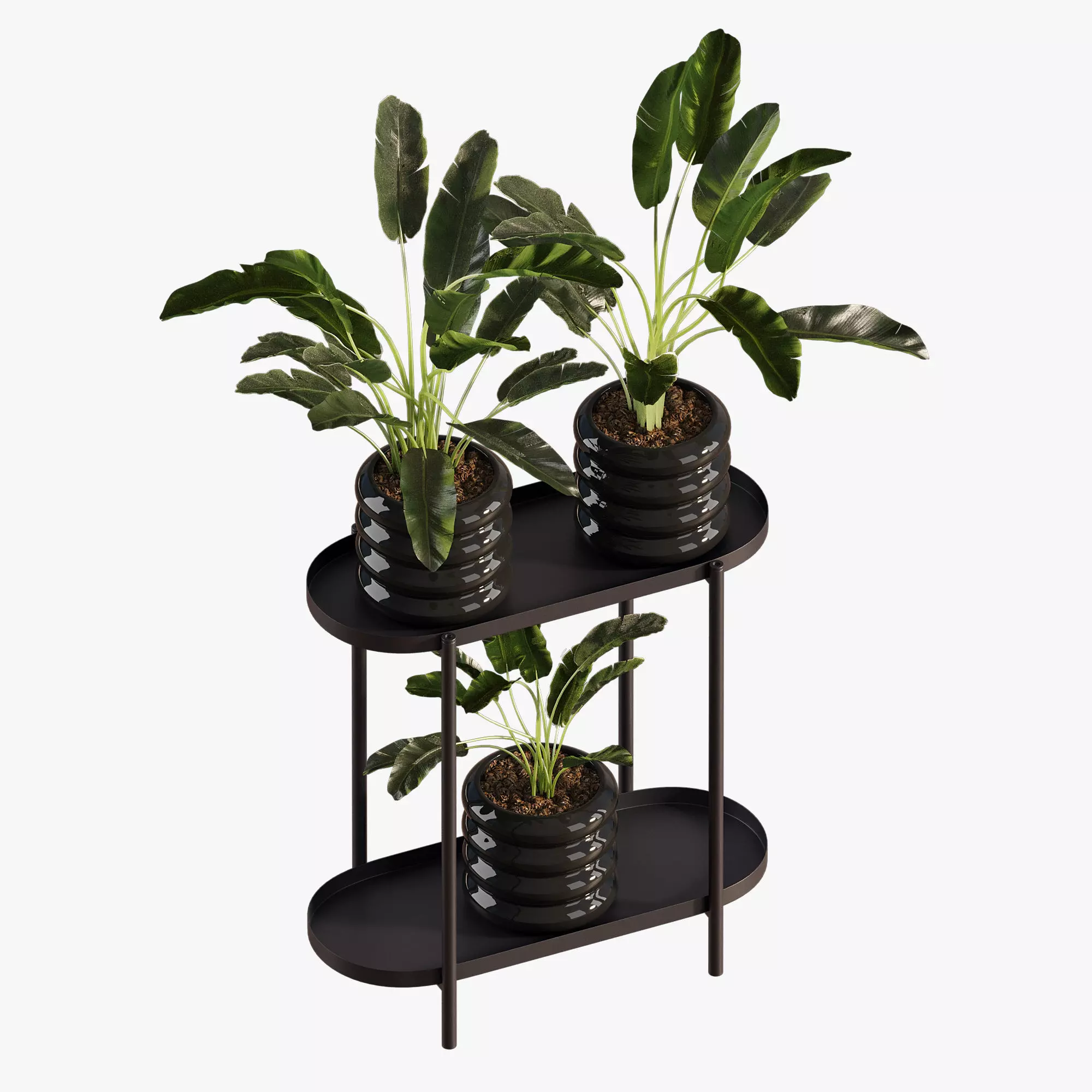  Previous Next Color palette  Banana Plant Set Ikea Olivblad 2 3D model_7