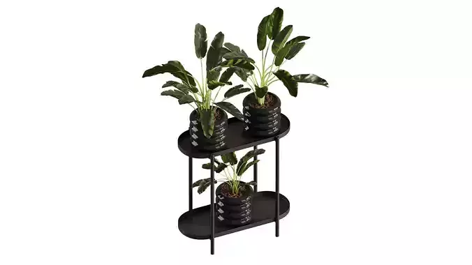  Previous Next Color palette  Banana Plant Set Ikea Olivblad 2