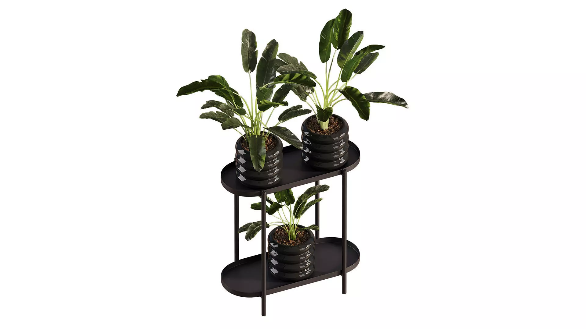  Previous Next Color palette  Banana Plant Set Ikea Olivblad 2 3D model_0