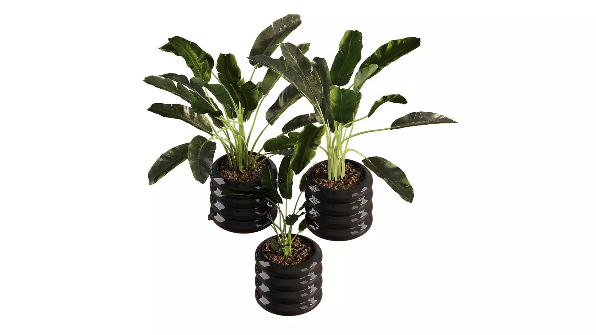  Previous Next Color palette  Banana Plant Set Ikea Olivblad 2 3D model_5