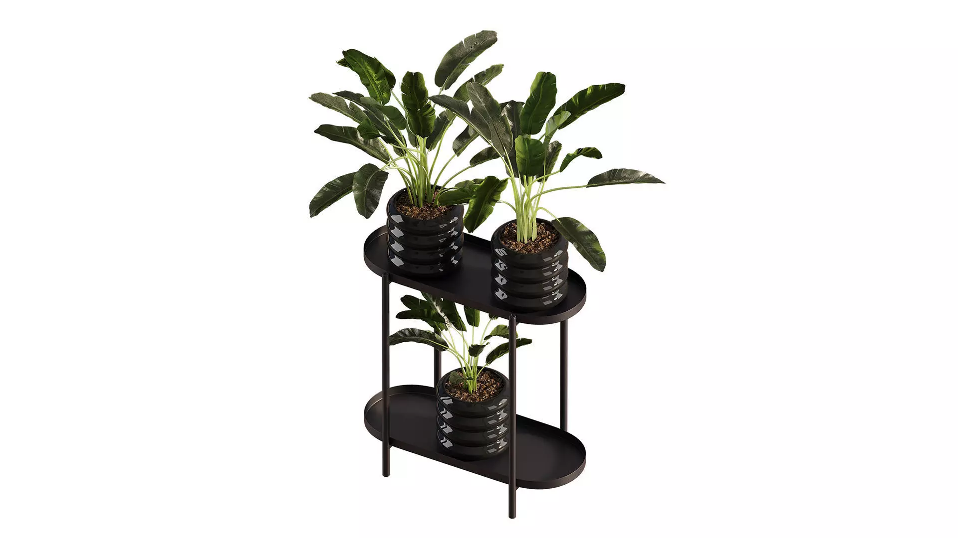  Previous Next Color palette  Banana Plant Set Ikea Olivblad 2 3D model_1