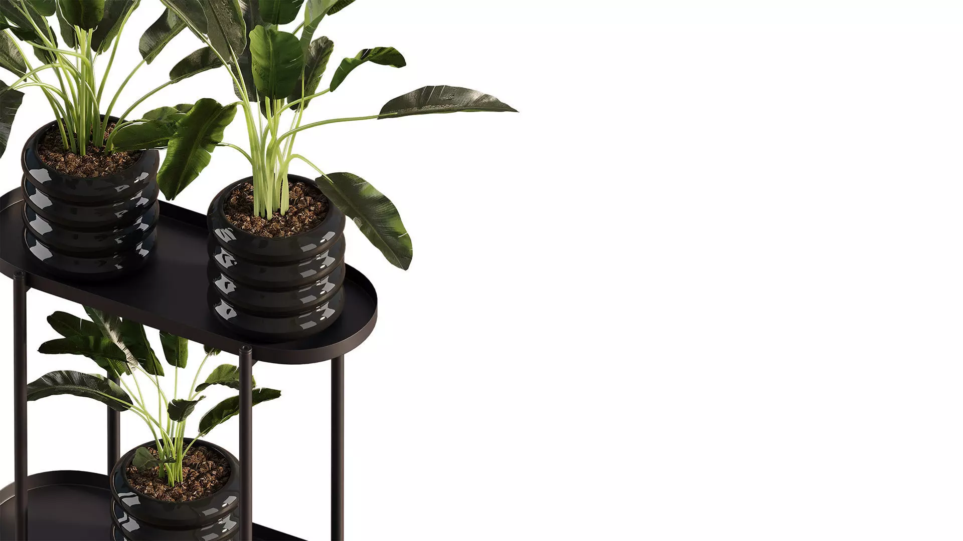  Previous Next Color palette  Banana Plant Set Ikea Olivblad 2 3D model_2