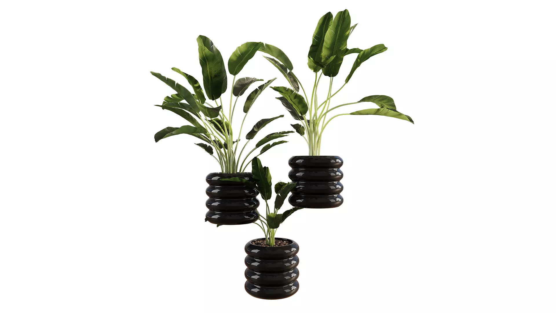  Previous Next Color palette  Banana Plant Set Ikea Olivblad 2 3D model_6