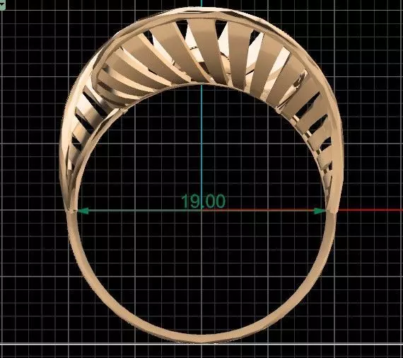 Celestial Fan Ring 19MM-4gm 3D print model_4