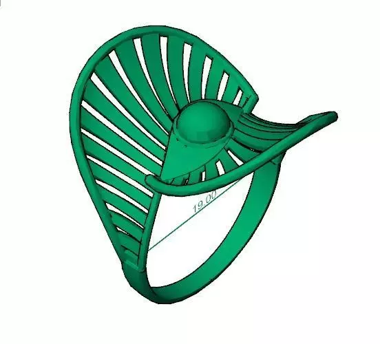 Celestial Fan Ring 19MM-4gm 3D print model_0