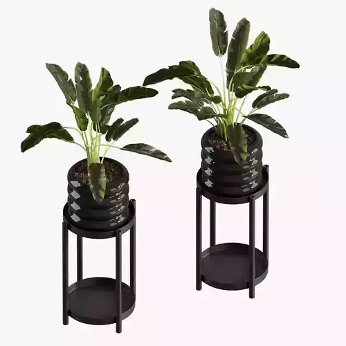 Banana Plant Set Ikea Olivblad 3