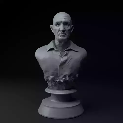Mike Ehrmantraut Breaking Bad Premium 3D Bust STL
