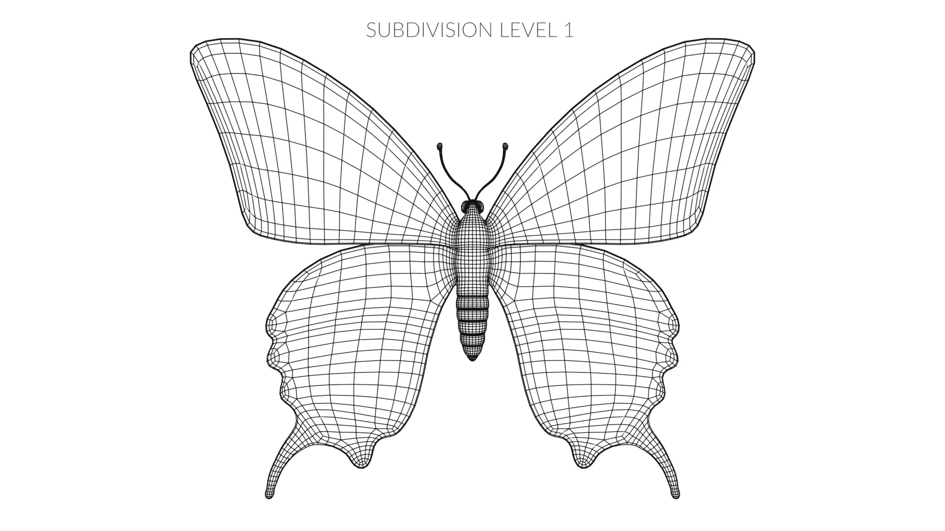 -Old World Swallowtail Butterfly- 3D model_12