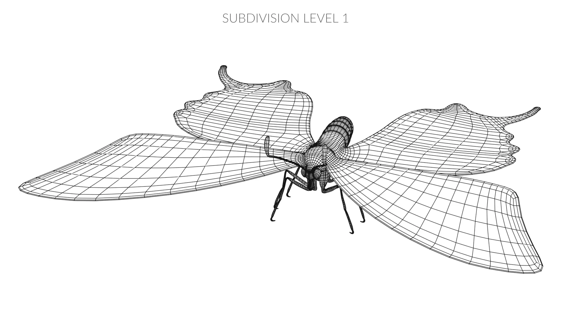-Old World Swallowtail Butterfly Rigged- 3D model_14