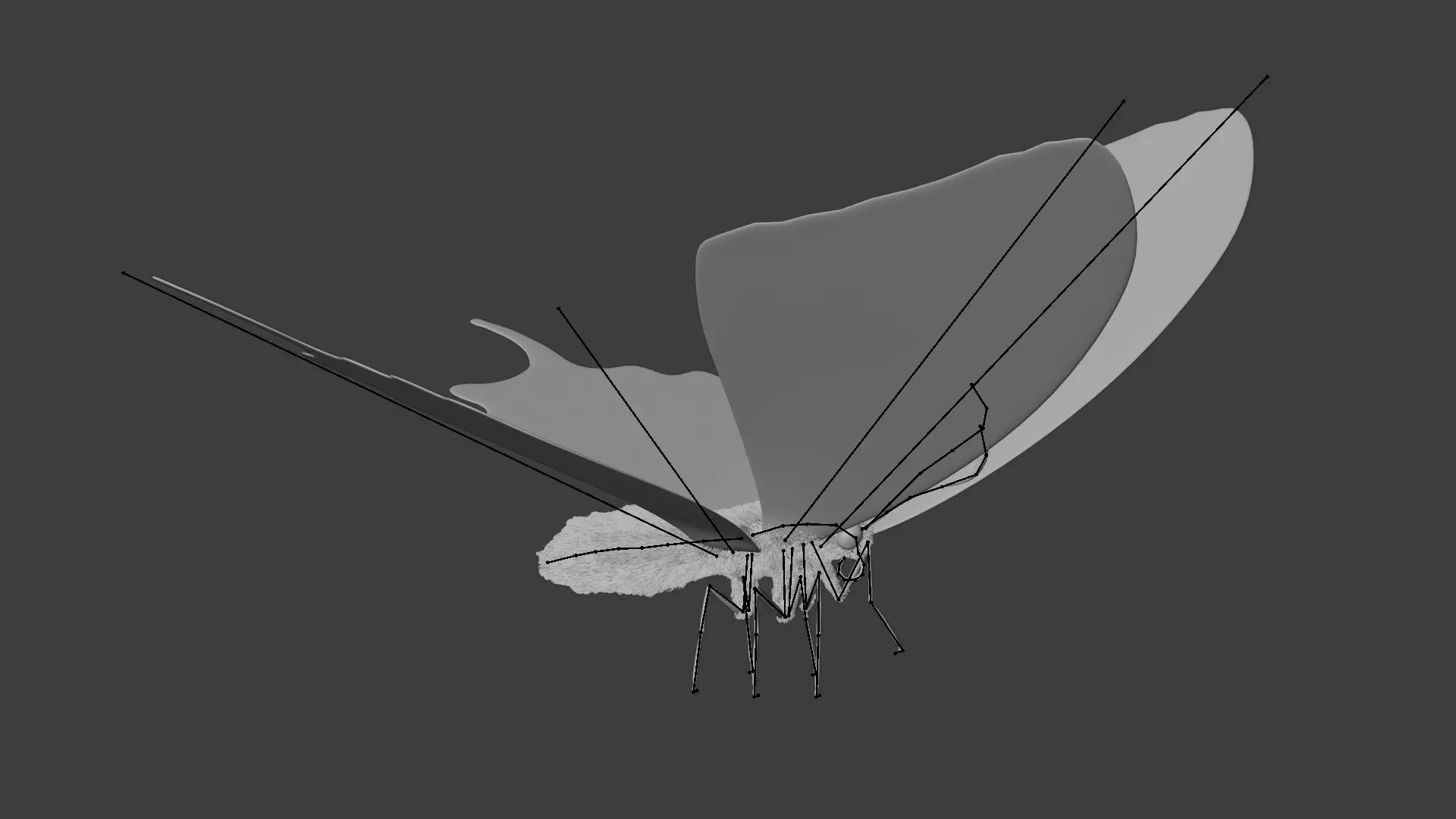 -Old World Swallowtail Butterfly Rigged- 3D model_15