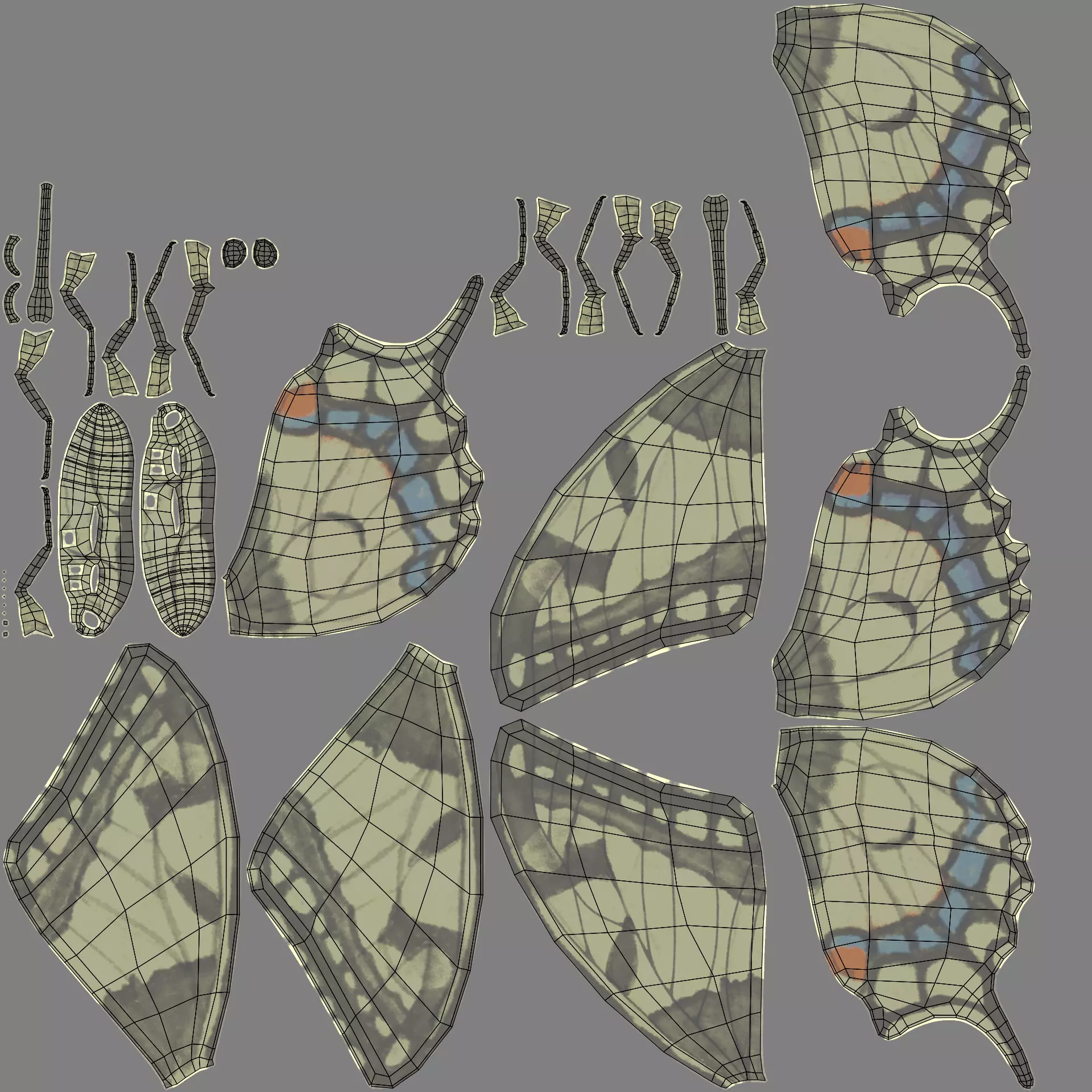 -Old World Swallowtail Butterfly Rigged- 3D model_10