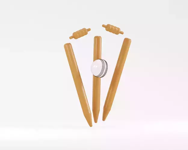 Cricket ball with stamp