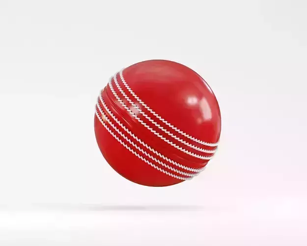 Cricket Ball