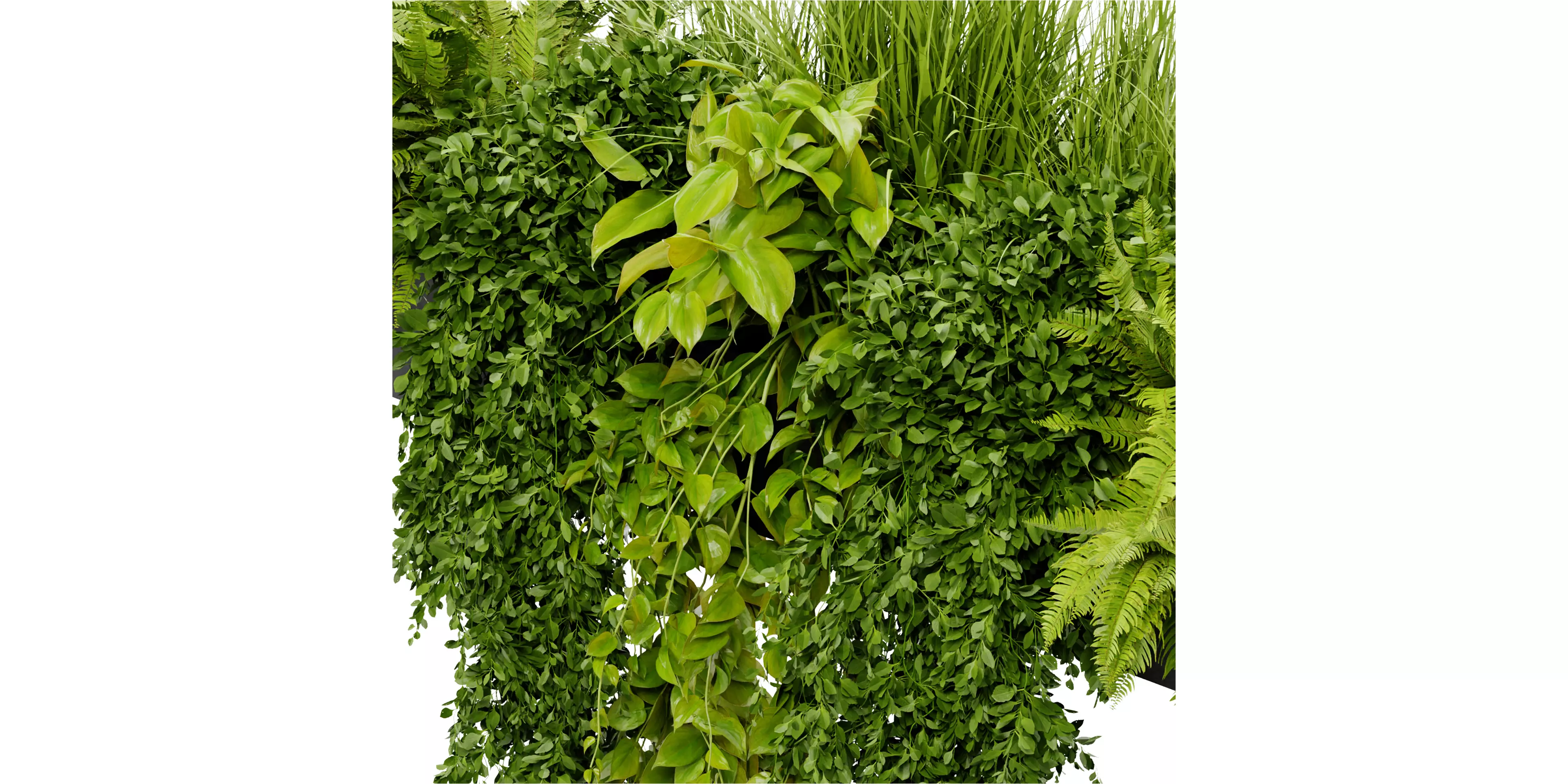 Collection plant vol 402 blender model Free 3D model_2