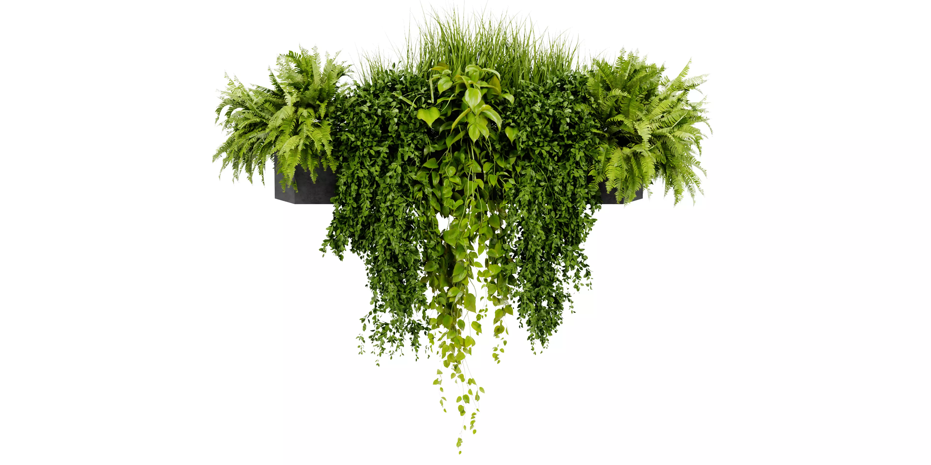 Collection plant vol 402 blender model Free 3D model_1