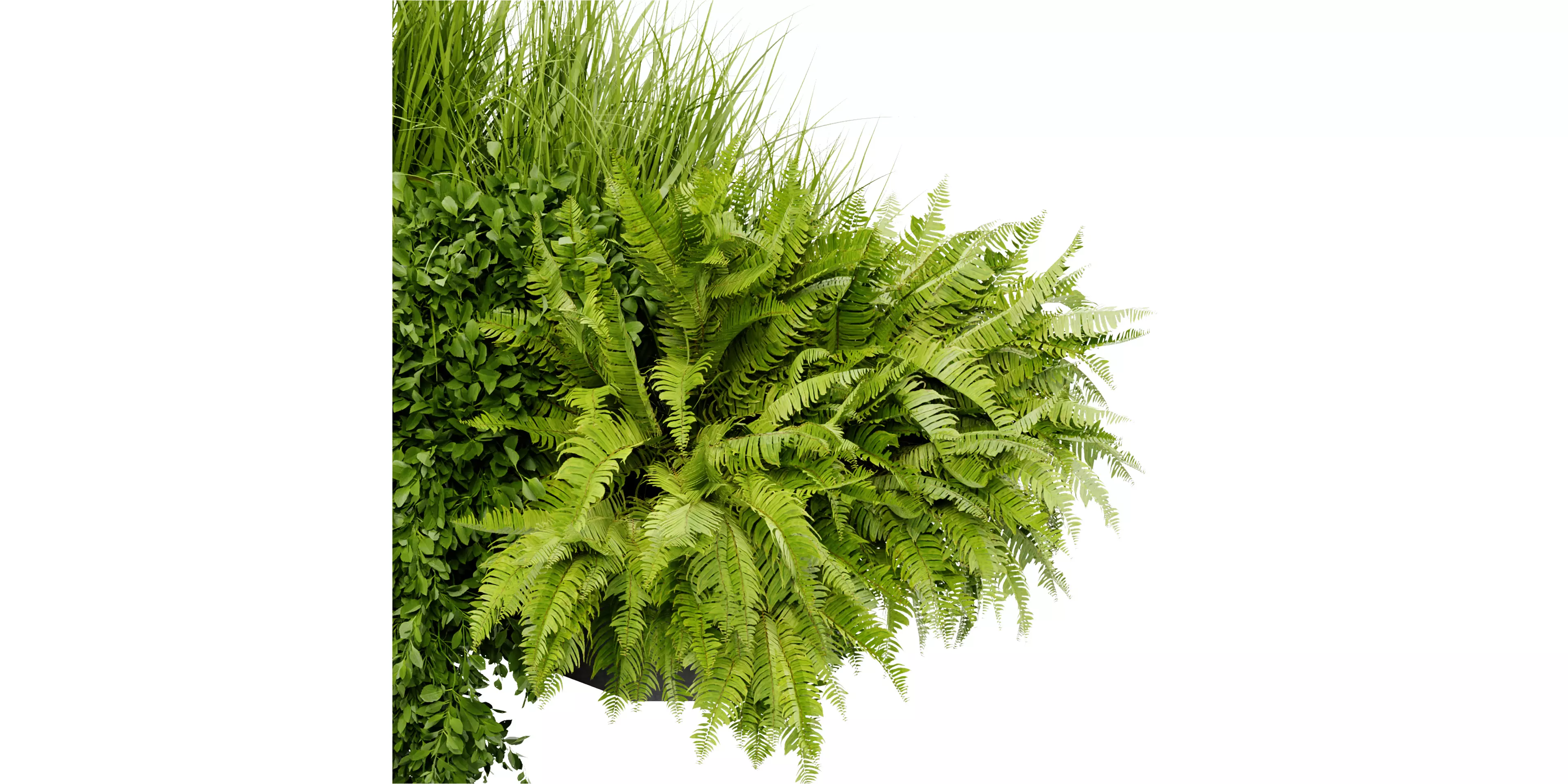 Collection plant vol 402 blender model Free 3D model_3