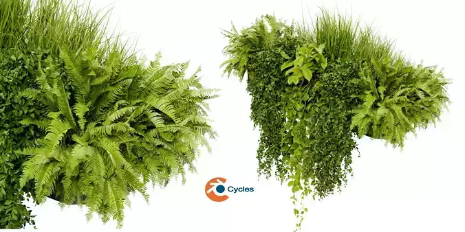 Collection plant vol 402 blender model