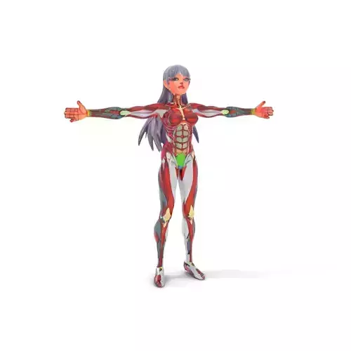 Anatomical Female Figure model pack