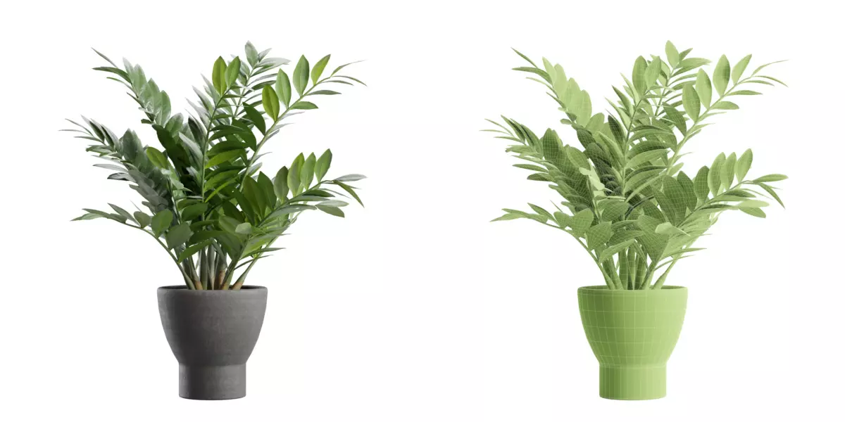 Indoor Plants Pack 82 Free 3D model_2