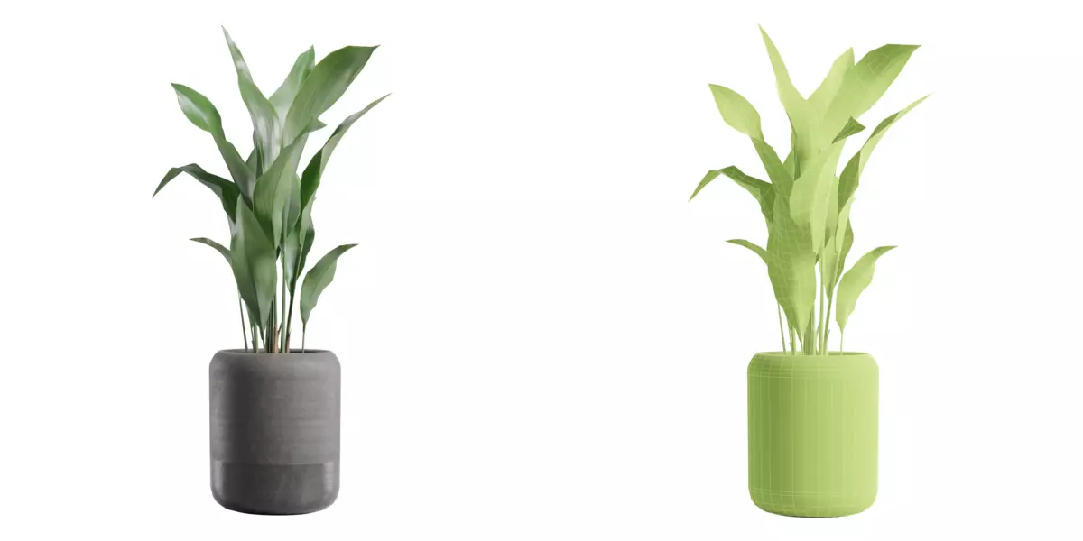 Indoor Plants Pack 82 Free 3D model_3