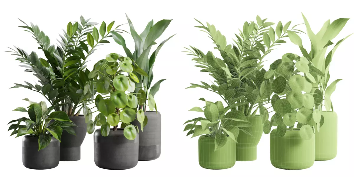 Indoor Plants Pack 82 Free 3D model_1
