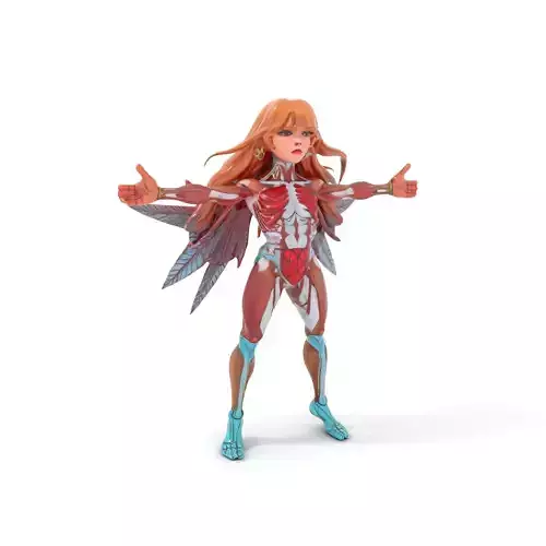 Winged Anatomical Fairy model pack