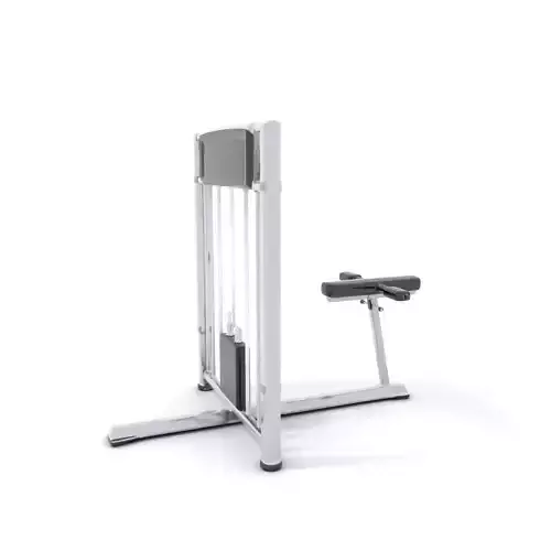 Chrome Rowing Machine model pack