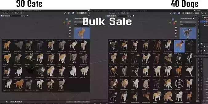 Cats and Dogs Bulk Sale