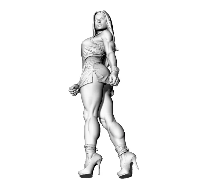 Art Women Sculptures Designer Animals Humans 3D print model_4