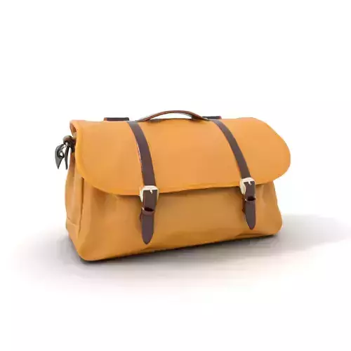 Vintage Tan Bag model pack
