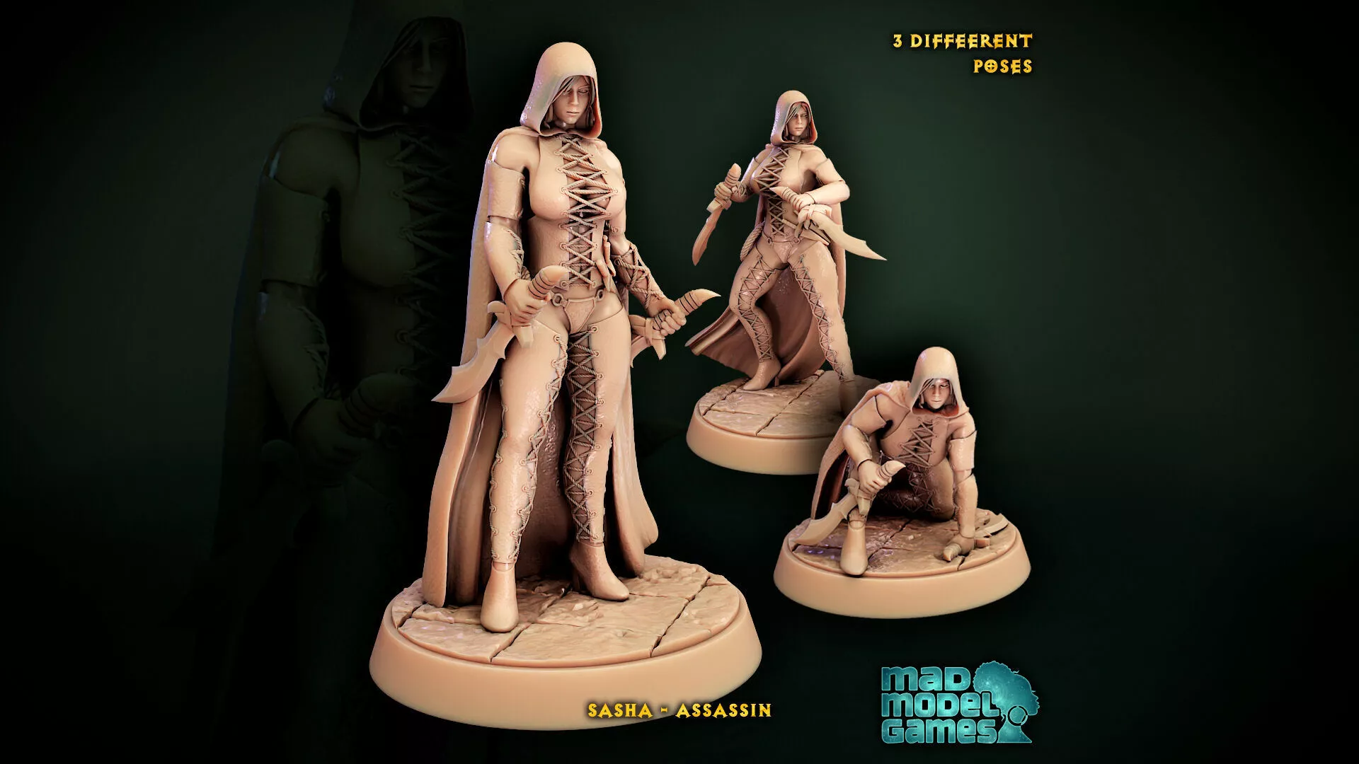 Female Assassin - Sasha - Bundle - DND character 3D print model