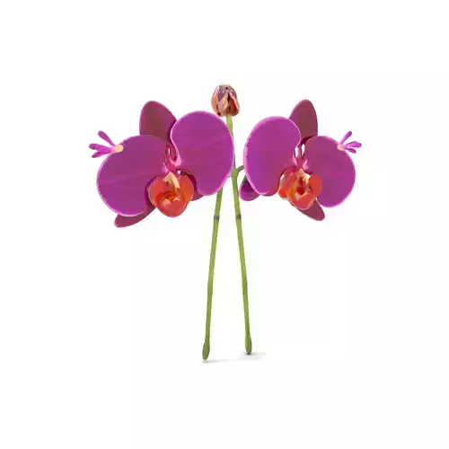Vivid Orchid Blossom model pack
