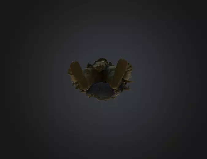 Forest Wraith Low-poly 3D model_16