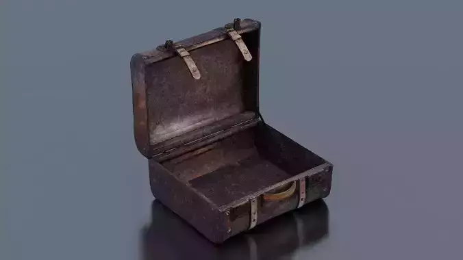 Opened Treasure Chest