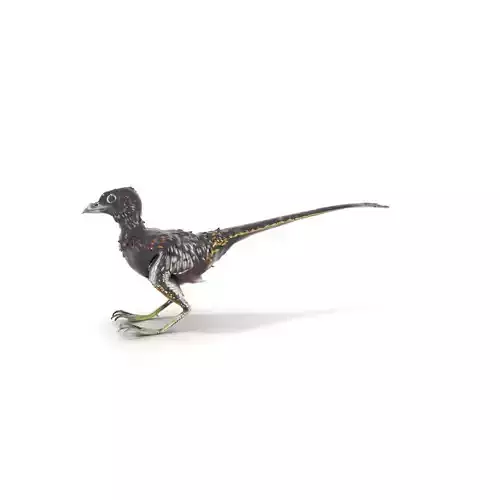 Feathered Dinosaur model pack