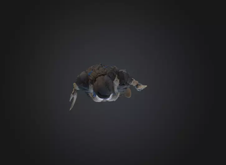 Warrior Raven Gate Low-poly 3D model_15