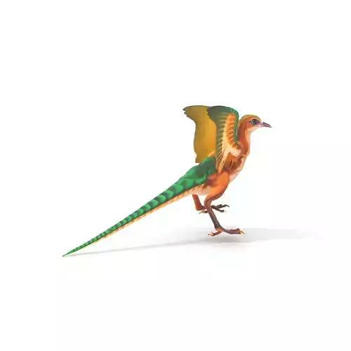 Colorful Archaeopteryx model pack