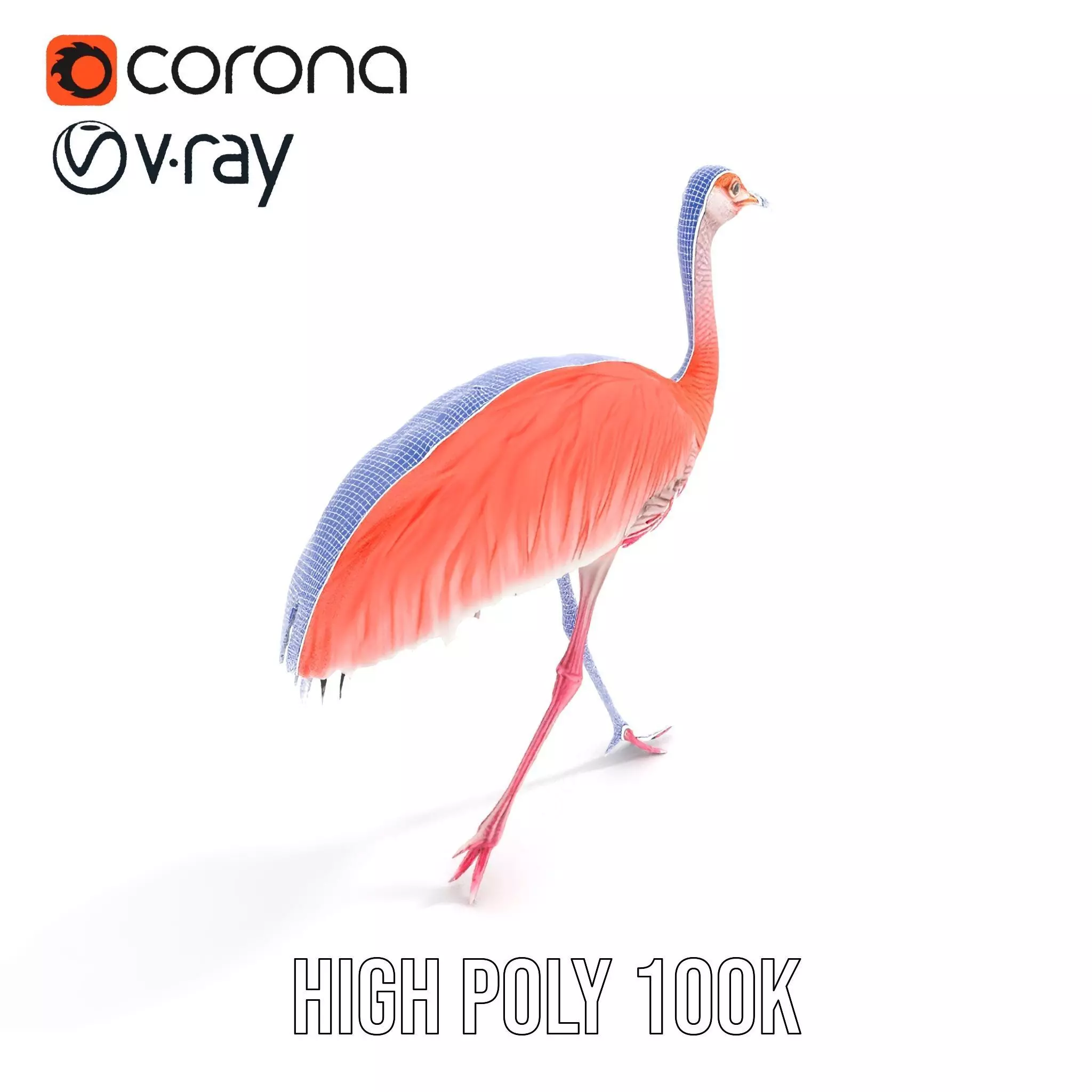 Elegant Flamingo Bird model pack Low-poly 3D model_33