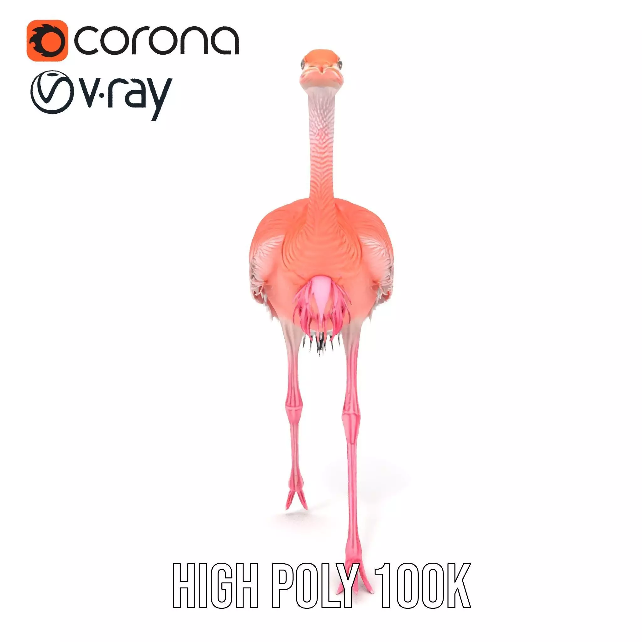 Elegant Flamingo Bird model pack Low-poly 3D model_13