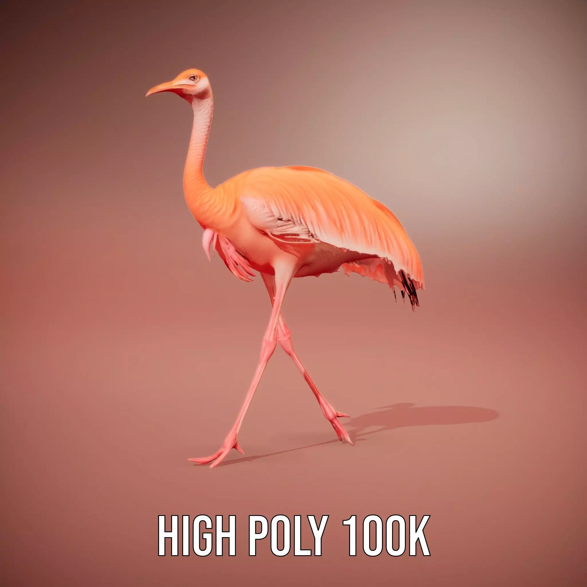 Elegant Flamingo Bird model pack Low-poly 3D model_10