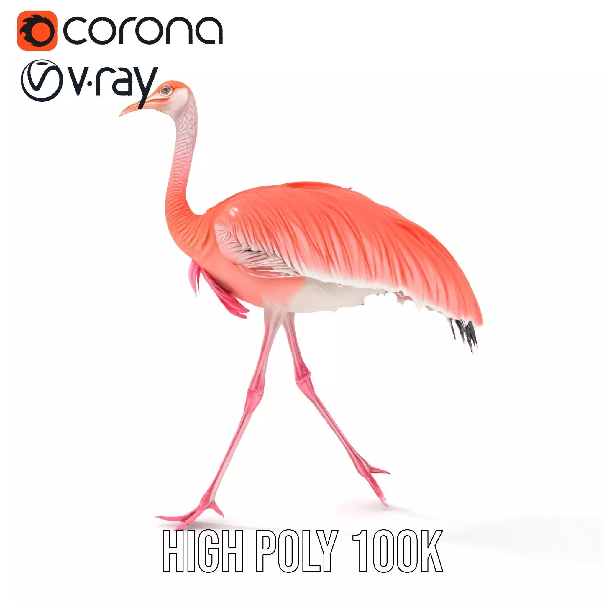 Elegant Flamingo Bird model pack Low-poly 3D model_8