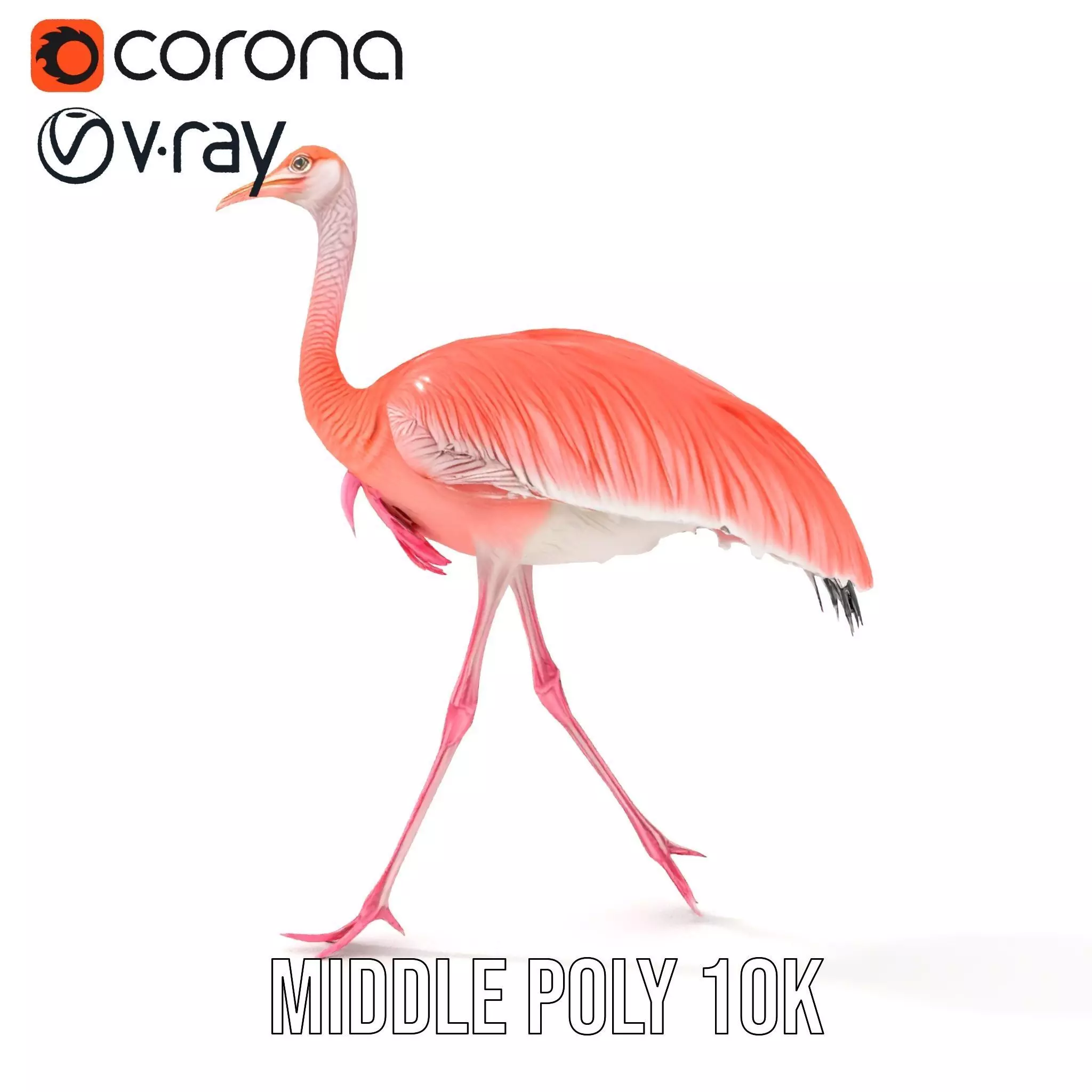 Elegant Flamingo Bird model pack Low-poly 3D model_5