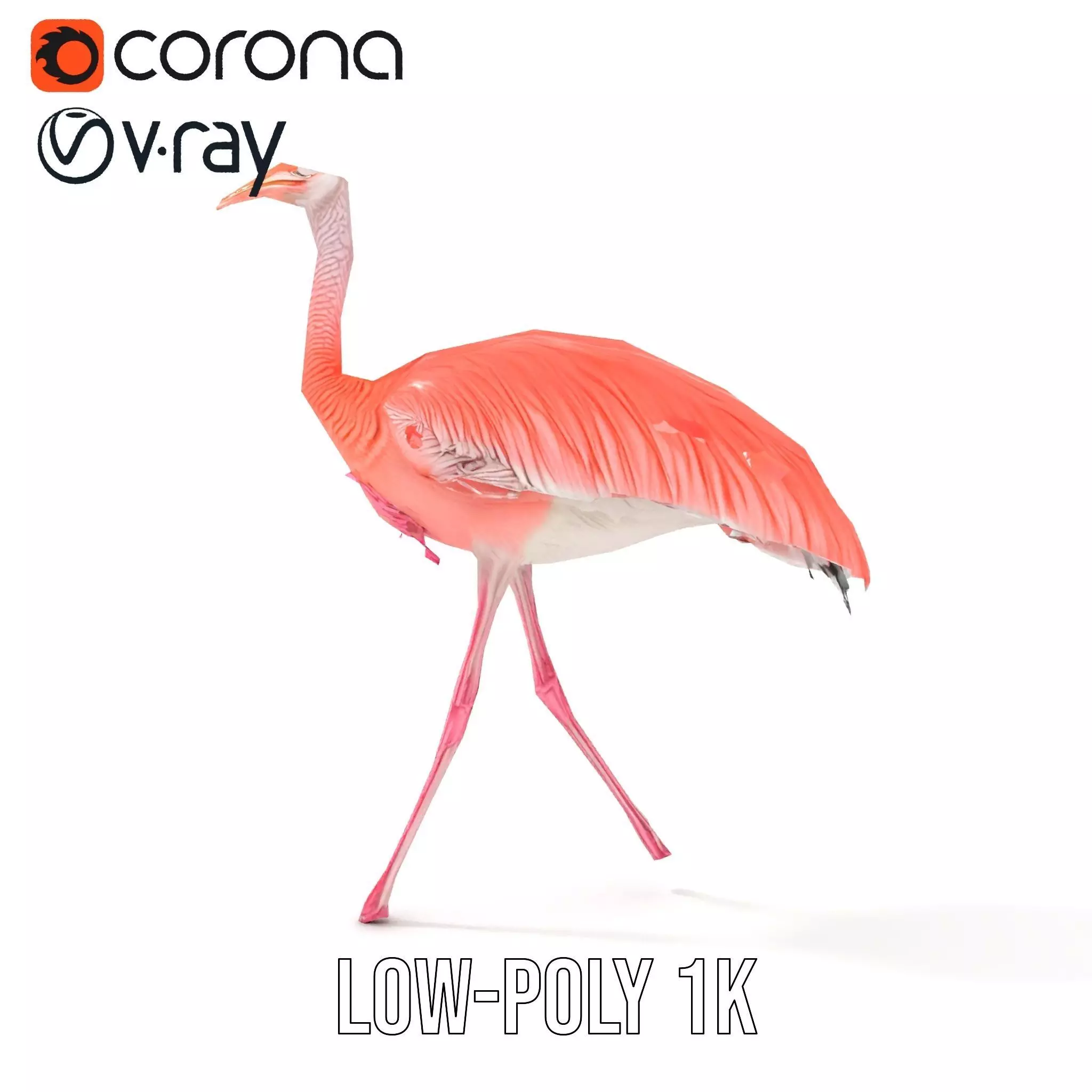 Elegant Flamingo Bird model pack Low-poly 3D model_31
