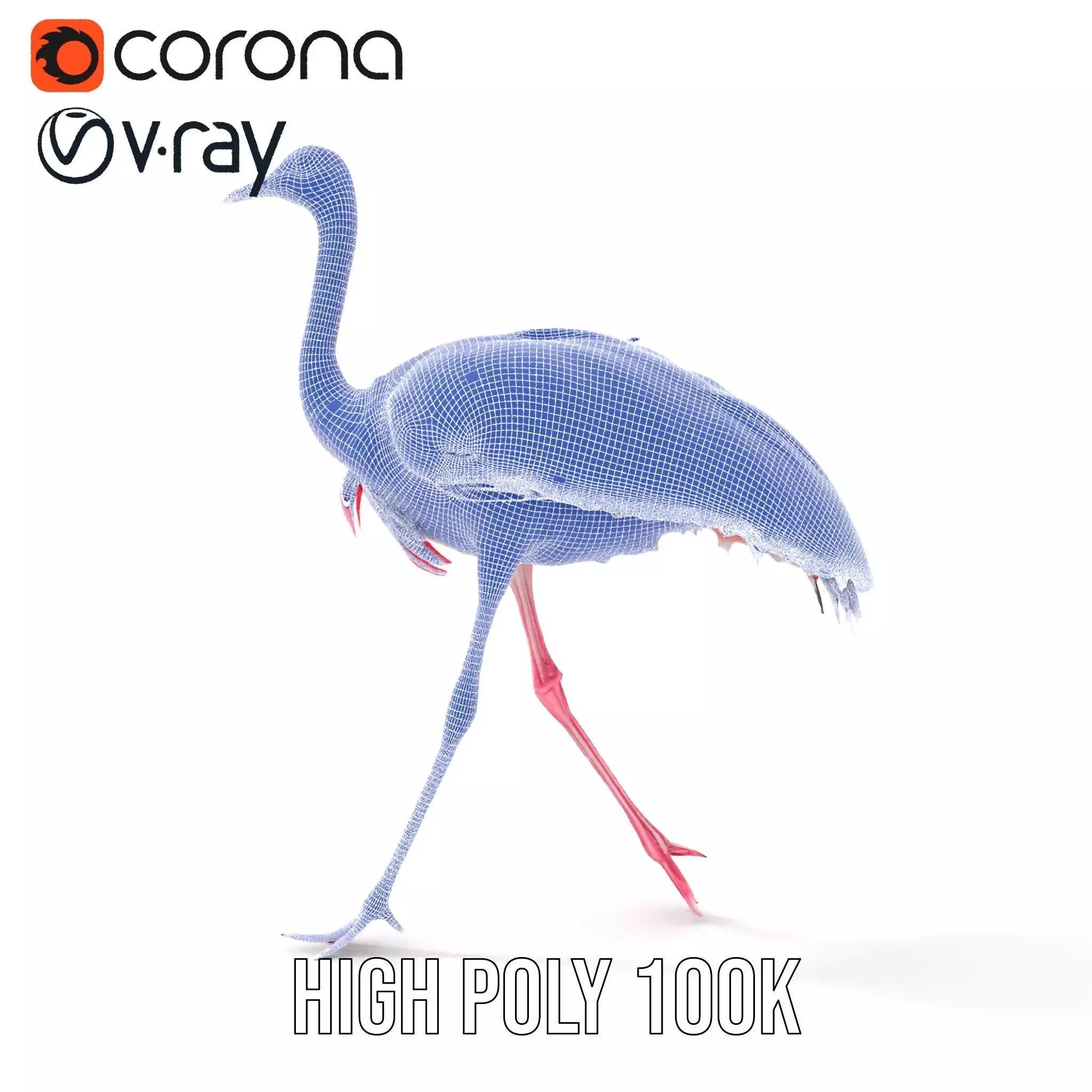 Elegant Flamingo Bird model pack Low-poly 3D model_26