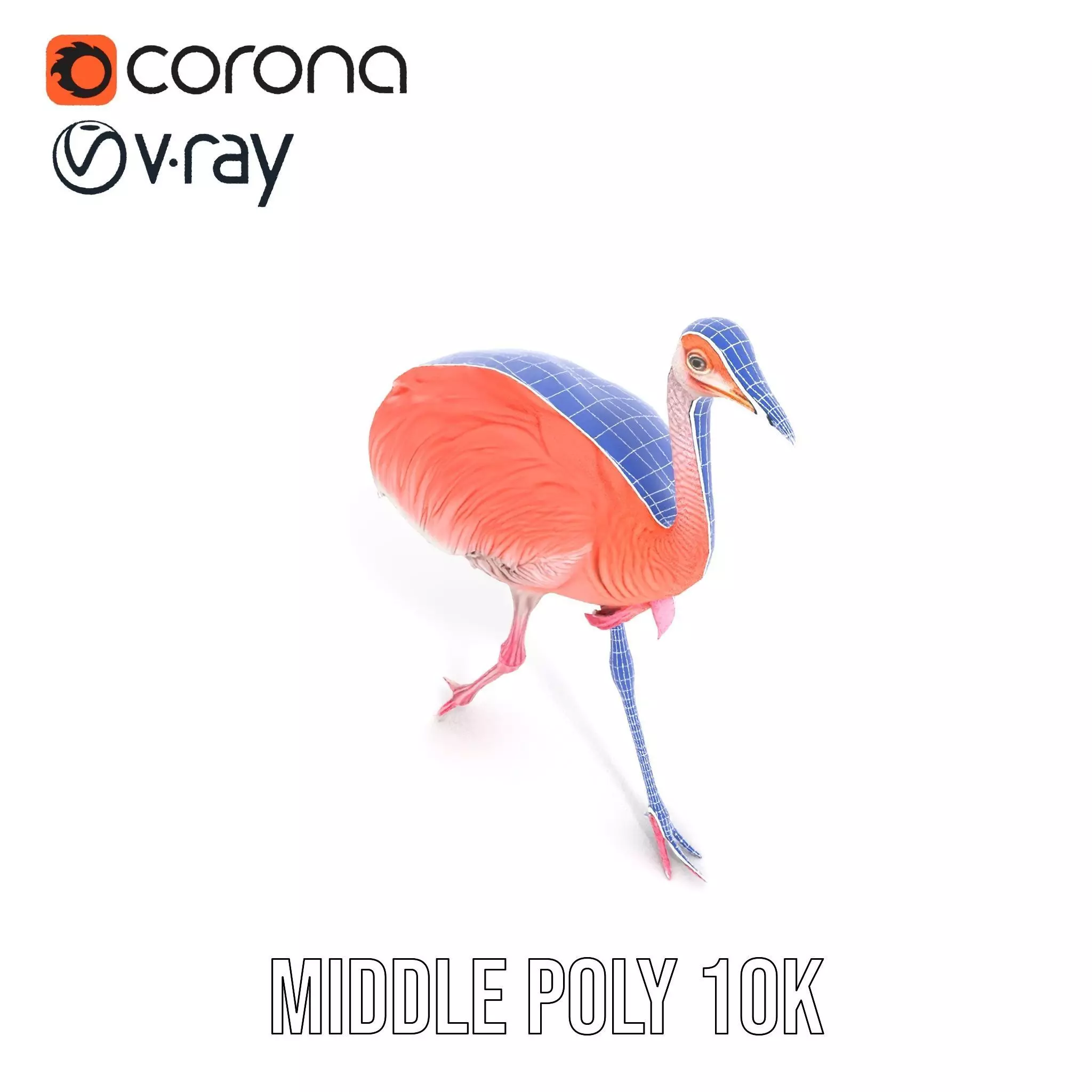 Elegant Flamingo Bird model pack Low-poly 3D model_14