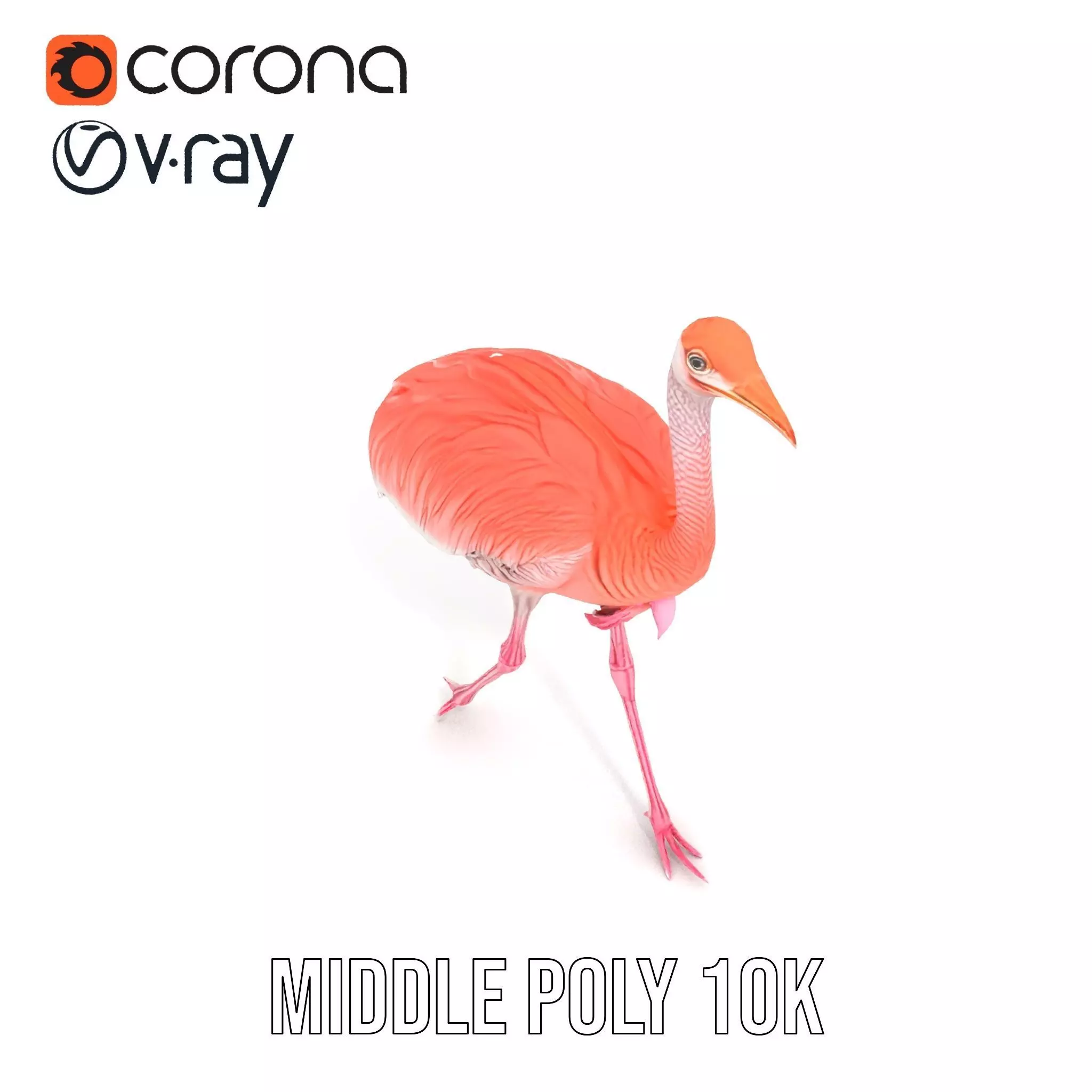 Elegant Flamingo Bird model pack Low-poly 3D model_11
